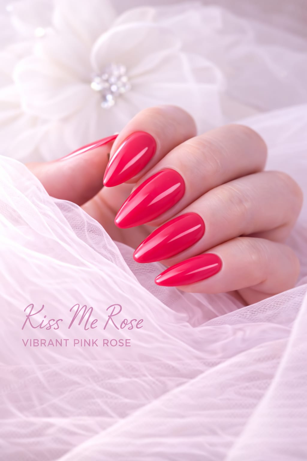 KISS ME ROSE