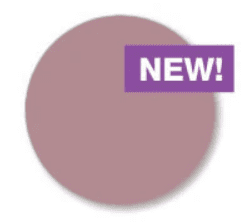 Attraction Dark Rose